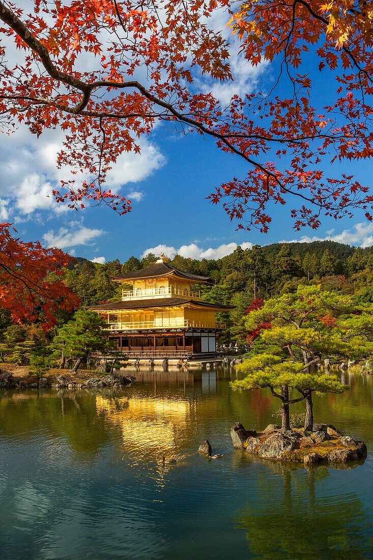 Japan , Kyoto City, The golden temple, Kinkaku-Ji.
