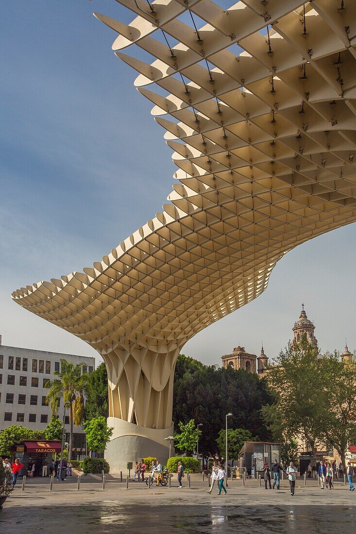 'Spain , Andalucia Region, Sevilla City ,Encarnacion Square, Metropol Parasol known as ''Las Setas''.'