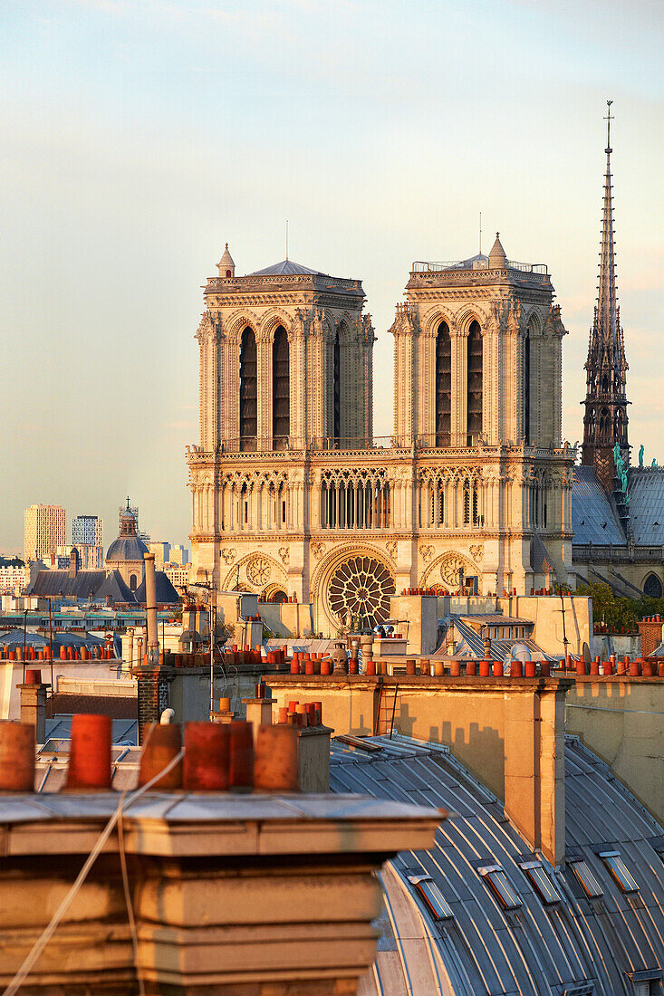 Parisian rooftops and chimneys. Notre Dame Cathedral. Paris. France.