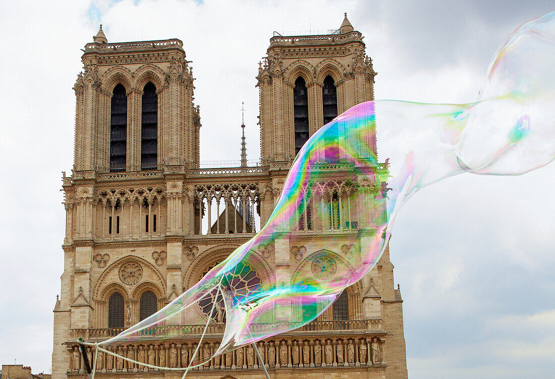 Seifenblasen. Kathedrale Notre-Dame. Paris. Frankreich.