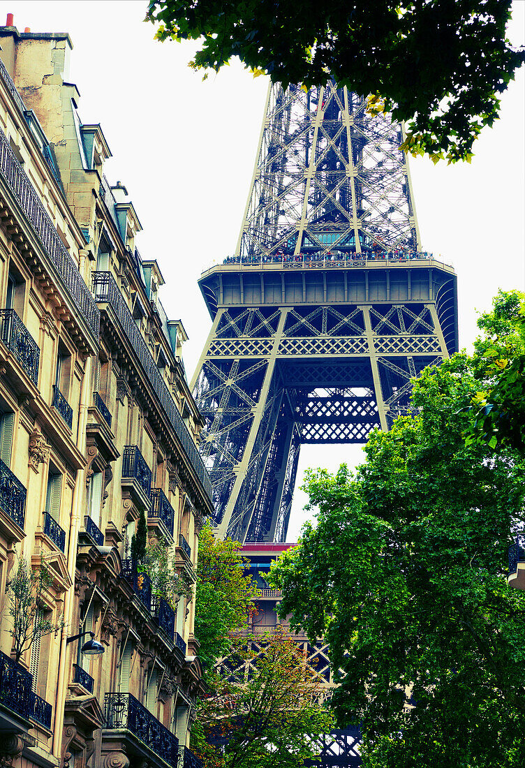 Rue de l´Université. Eiffel tower. Paris. France.