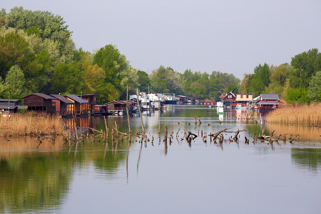 Near Bratislava (Pressburg) , Swimming houses and cottages at Jarovecké rameno , Danube (km1856 - 60) , Slovakia , Europe