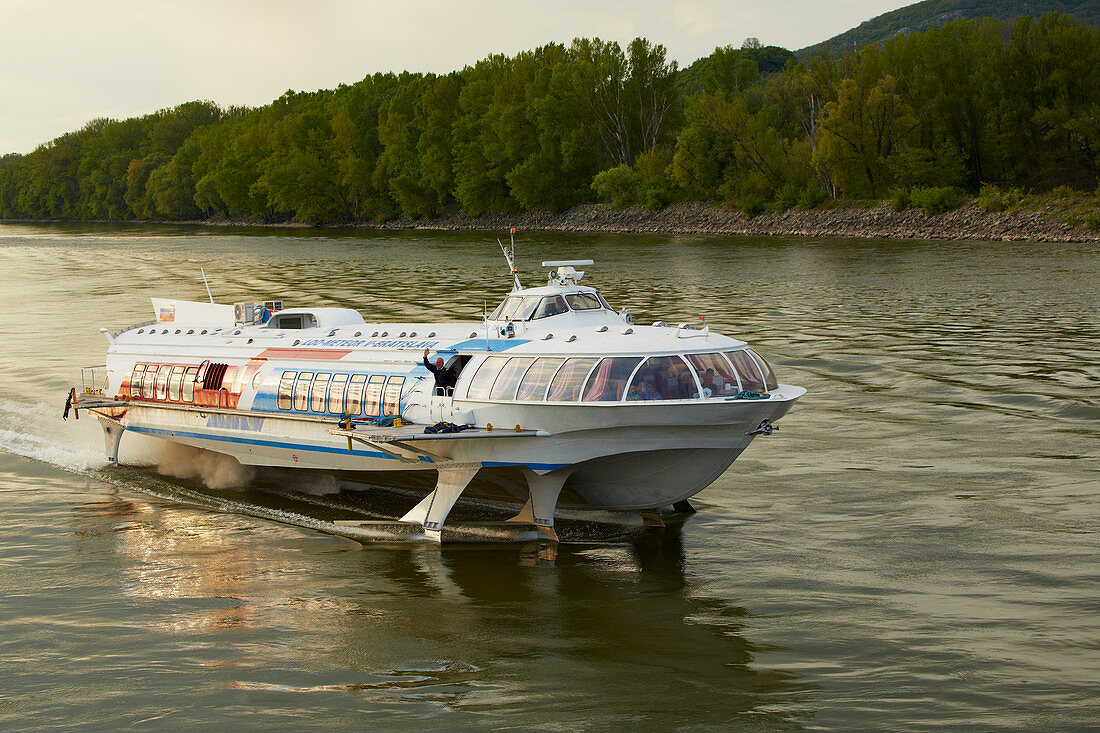Tragflügelboot (Tragflächenboot) bei Devin , Donau , Slowakei , Europa