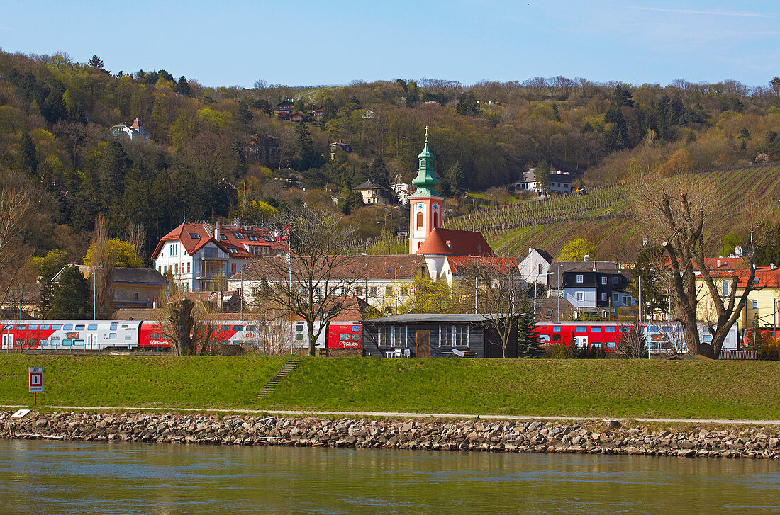 View at Kahlenbergerdorf , River Danube , Vienna , Austria , Europe