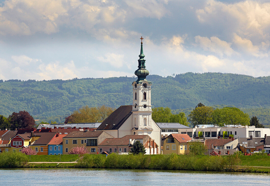 Blick auf Pöchlarn mit Kirche Maria Himmelfahrt , Donau , Bundesland Niederösterreich , Österreich , Europa