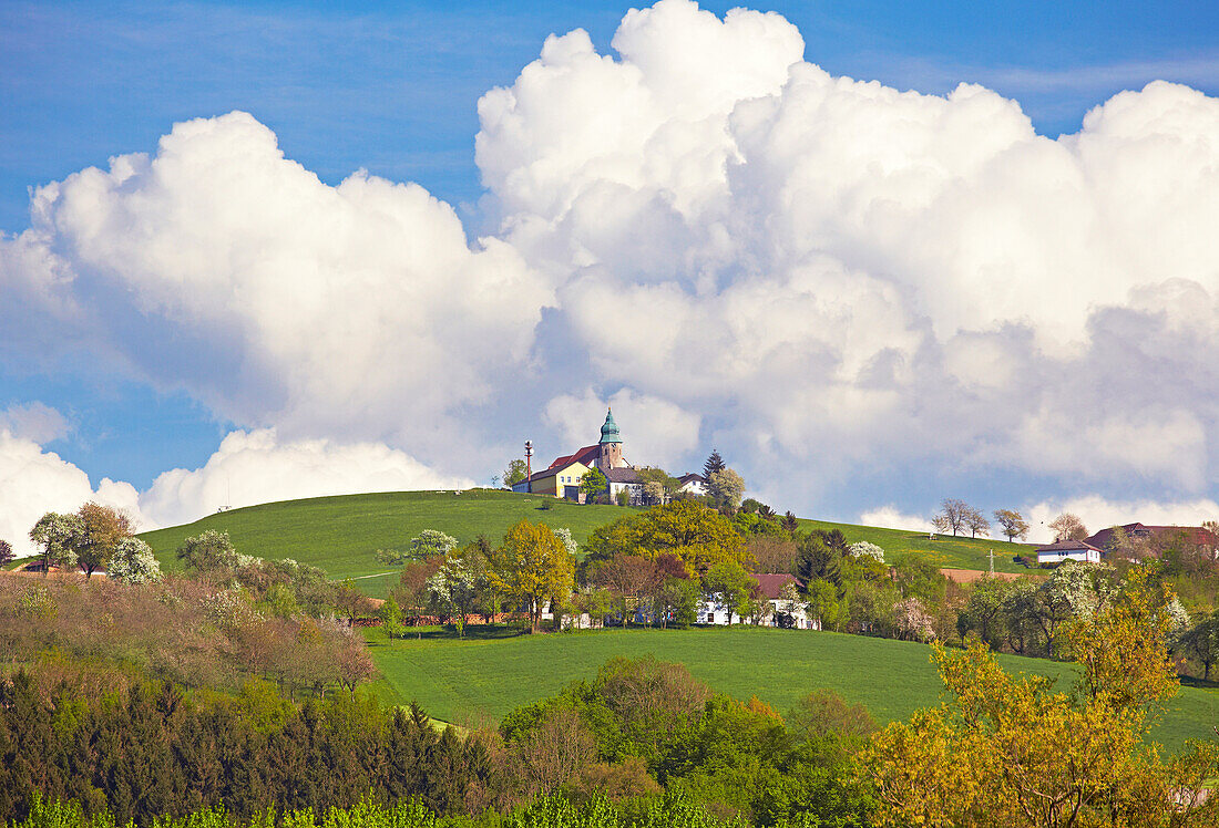 Ländliche Idylle bei Grein , Kollmitzberg , Donau , Strudengau , Bundesland Niederösterreich , Österreich , Europa