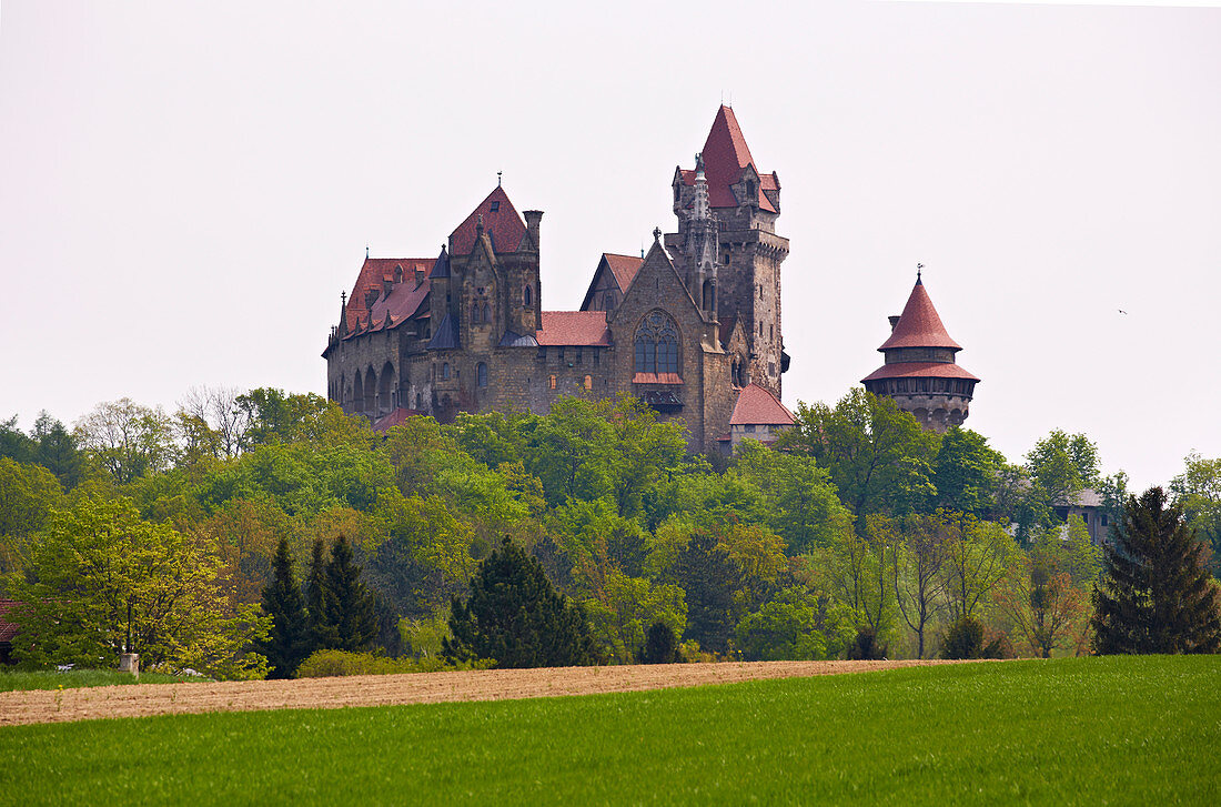Burg Kreuzenstein über Leoberndorf bei Kronenburg , Donau , Bundesland Niederösterreich , Österreich , Europa