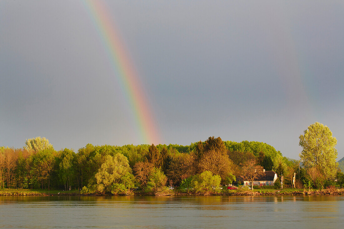 Evening sun at the river Danube near Krems-Stein , Rainbow , Wachau , Niederösterreich , Lower Austria , Austria , Europe