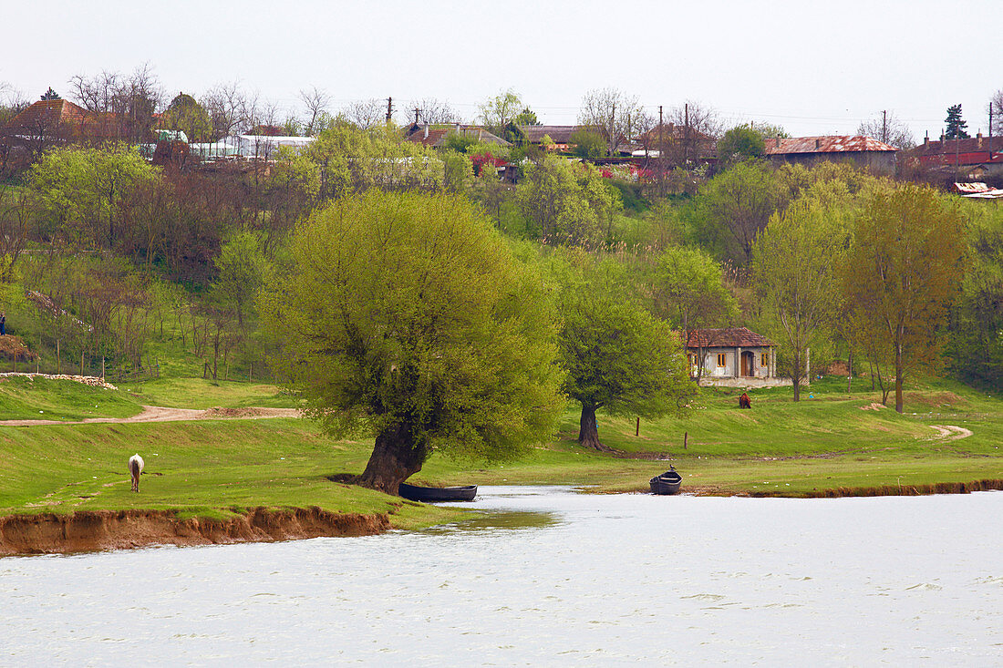 View at Topalu , River Danube , Romania , Europe