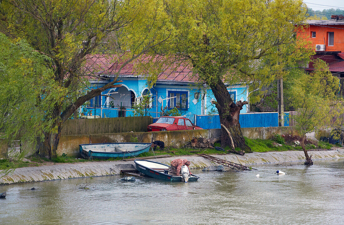Donaudelta bei Crisan , ca. 24 km entfernt von der Mündung des Sulinaarms ins Schwarze Meer , Rumänien , Donau , Europa