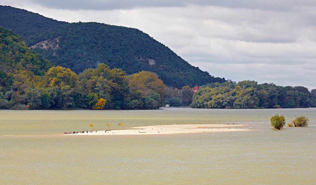 Islands near Szob , River Danube , Hungary , Europe