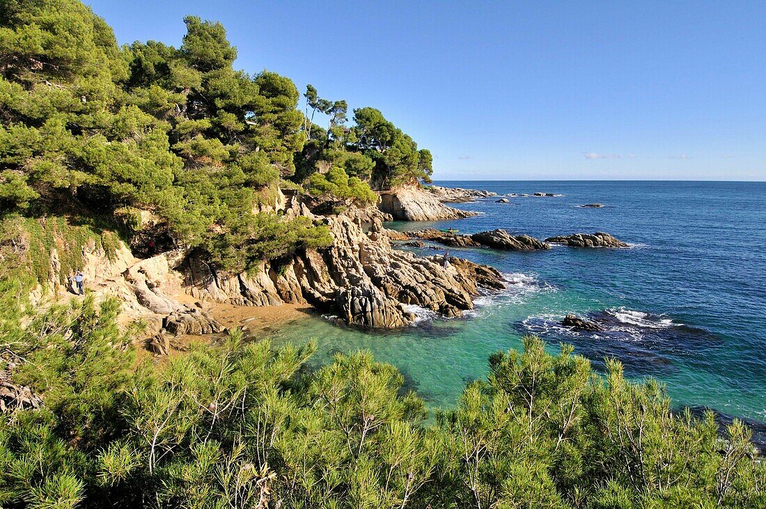 Costa Brava. Coastal región that stretches from Blanes, 60 km northeast of Barcelona, to the French border. Cap Roig coast. Girona. Catalonia. Spain.