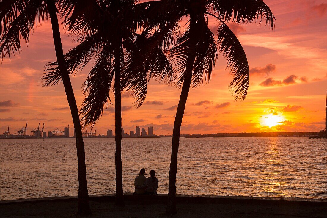 Palm Trees Couple Sitting Miami Beach Port Of Miami Skyline Biscayne Bay Miami Florida Usa.