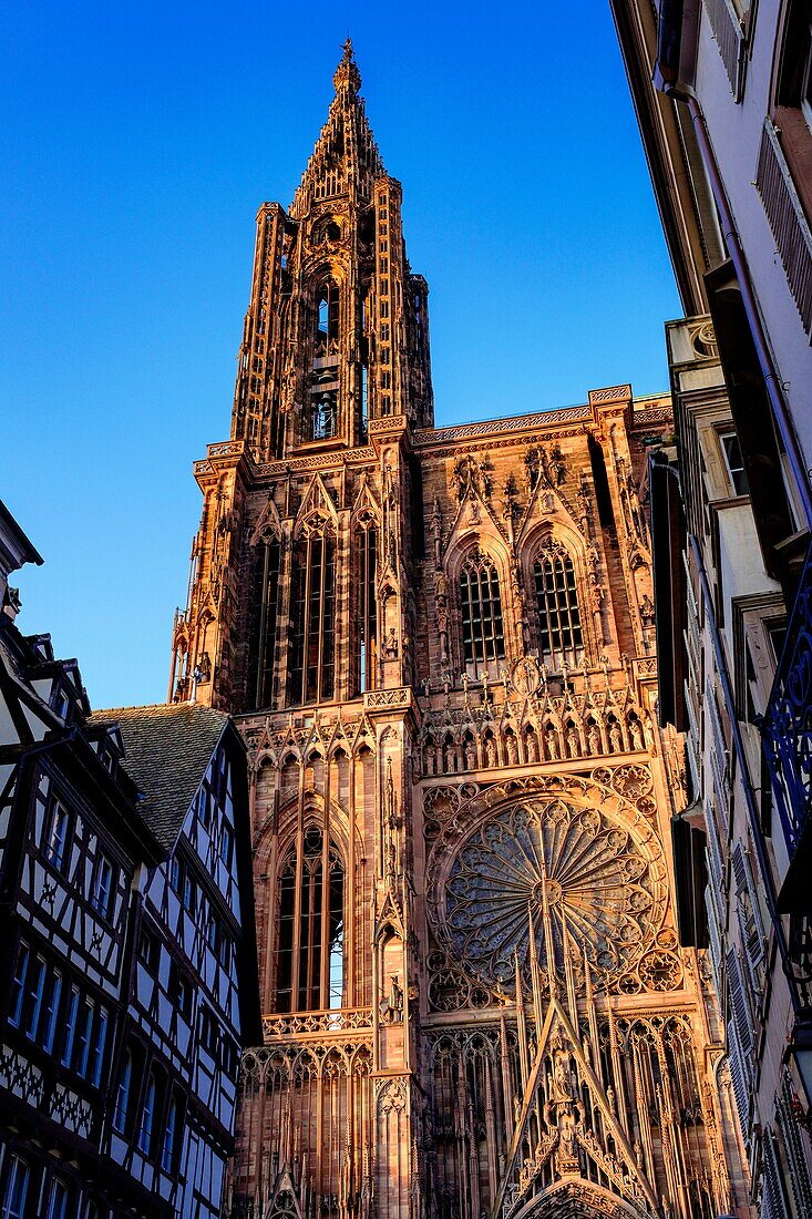 ´Notre-Dame´ Gothic Cathedral 14th Century at sunset, Strasbourg, Alsace, France.