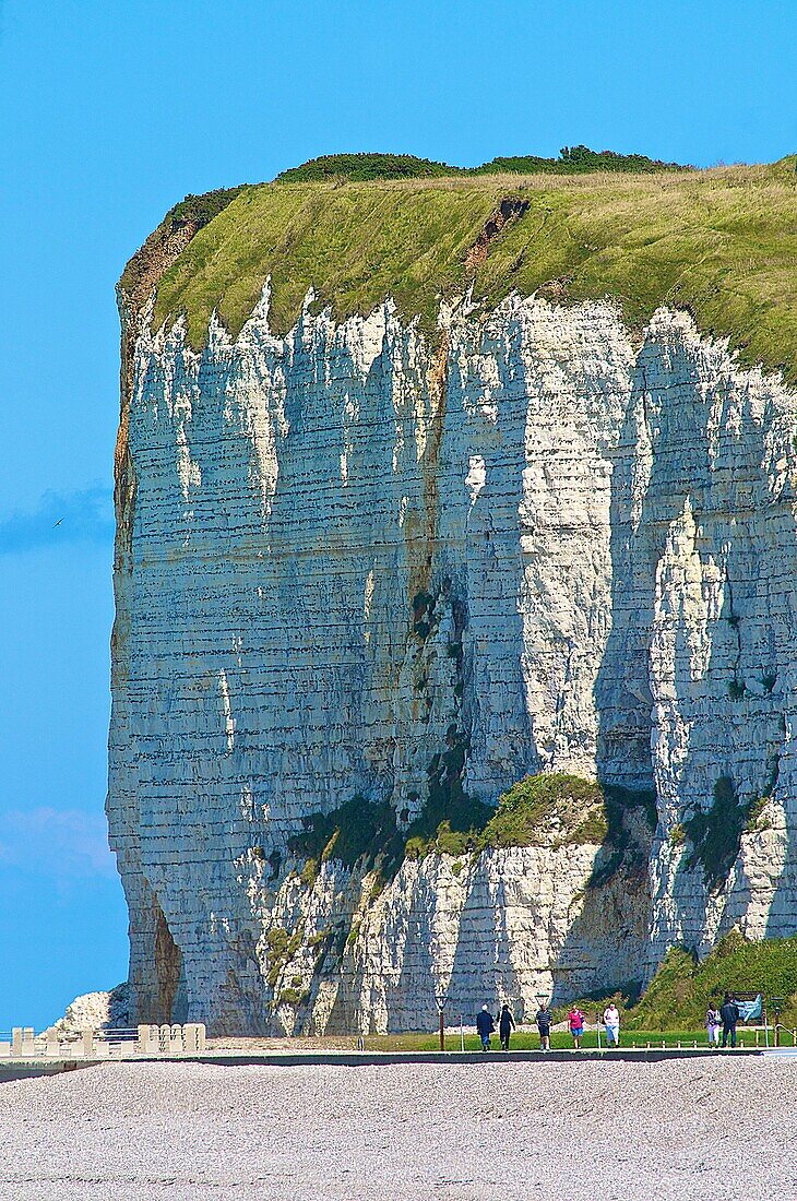 Chalk Cliffs, and pebble beach, Veules les Roses, 76980, Normandy, France.