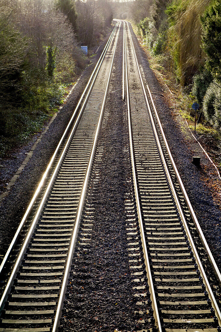 Railway lines pair recede into distance.