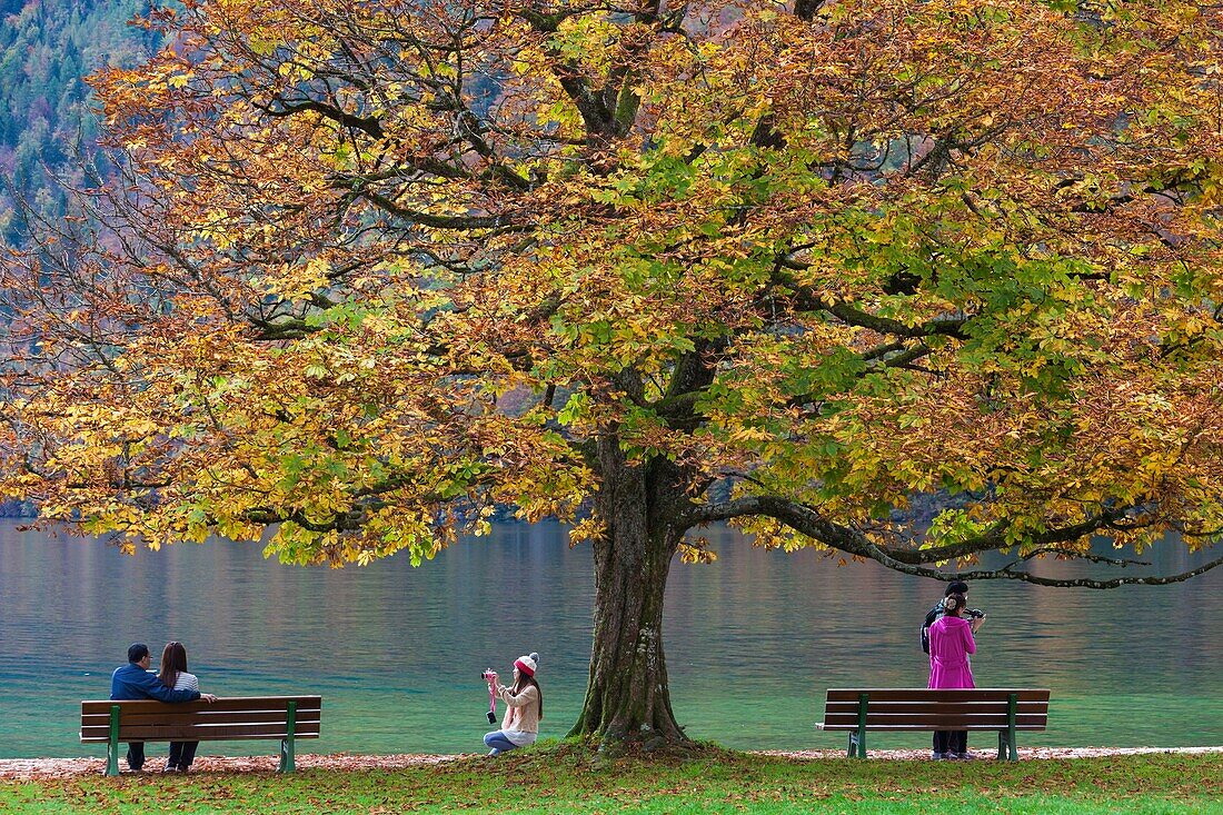 Germany, Bavaria, Konigsee, St. Bartholoma, fall foliage.