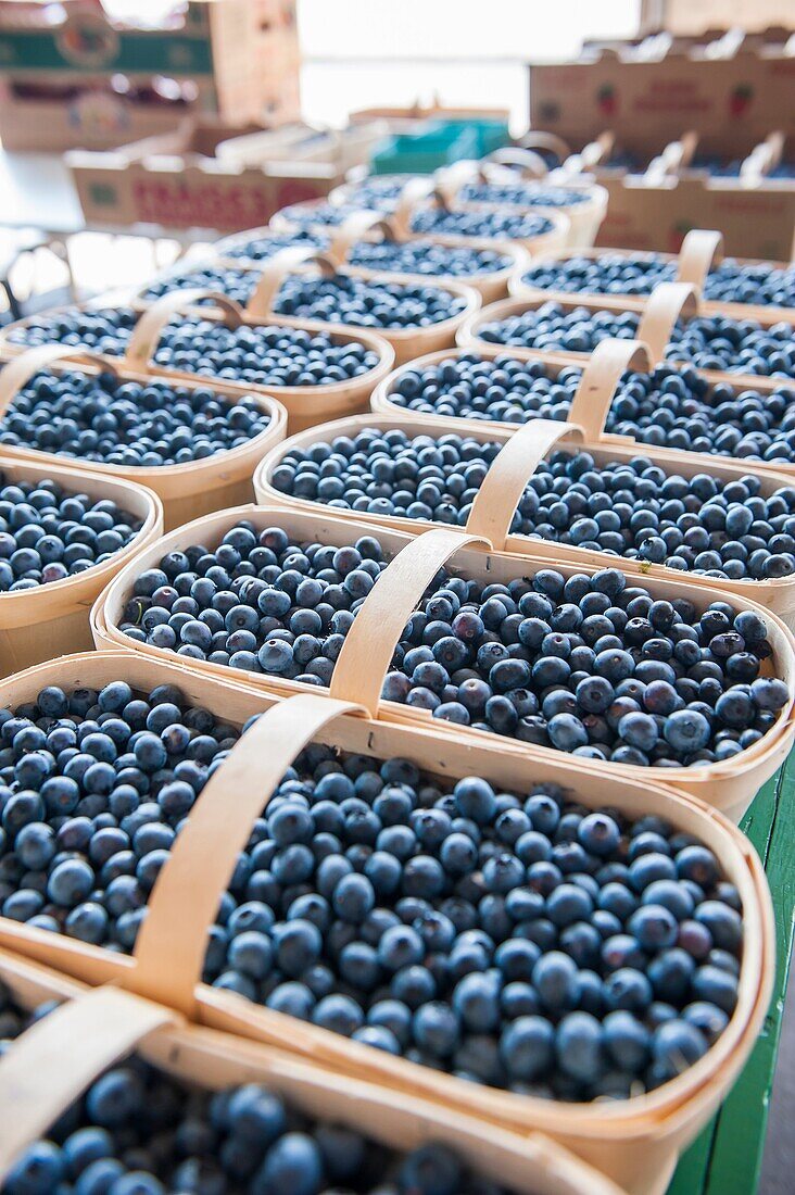 Fresh blueberries on display inside the farmer´s market, Marché du Vieux-Port in Quebec City, Canada.