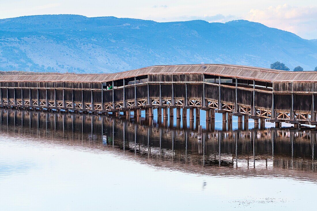 Hula Valley, Israel, Oriente Próximo.