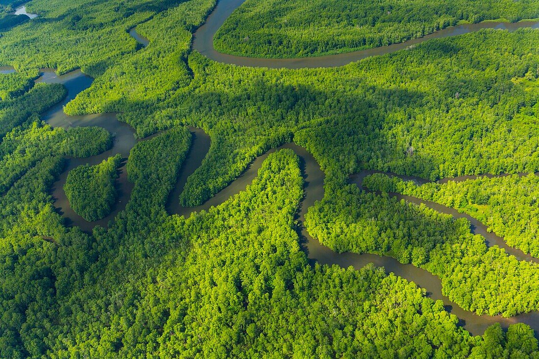 Aerial view of Delta Sierpe River Terraba, Corcovado National Park, Osa Peninsula, Puntarenas Province, Costa Rica, Central America, America.