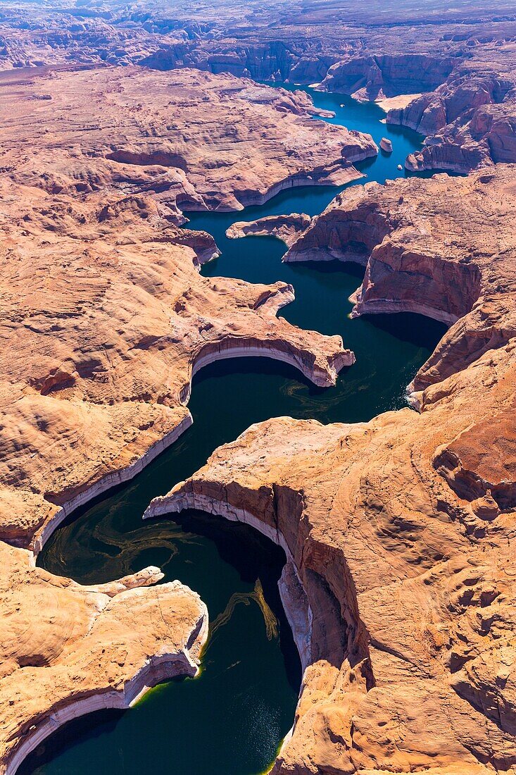 Colorado River, Lake Powell, Page, Arizona, Usa, America.