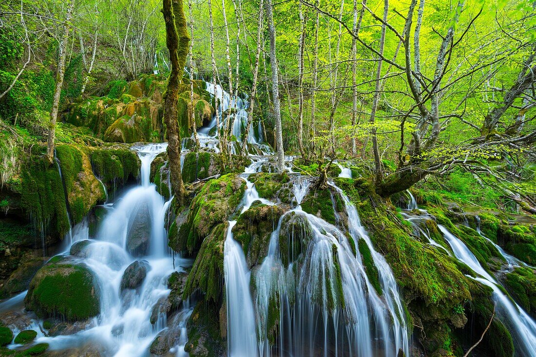 TOBERIA FALLS, ANDOIN, SIERRA ENTZIA NATURAL PARK, ALAVA, BASQUE COUNTRY, SPAIN, EUROPE.