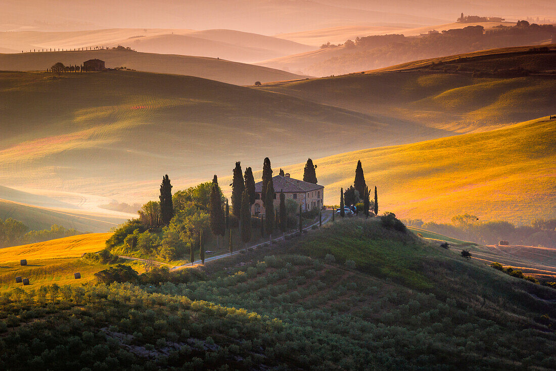 Tuscany, Val d'Orcia, Italy. Sunrise over the green and golden hills, with lonely farmhouse and cypress trees.