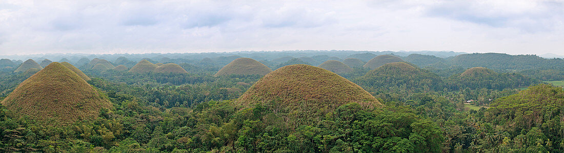 Panoramic view of the Chocolate Hills in Bohol, Philippines.