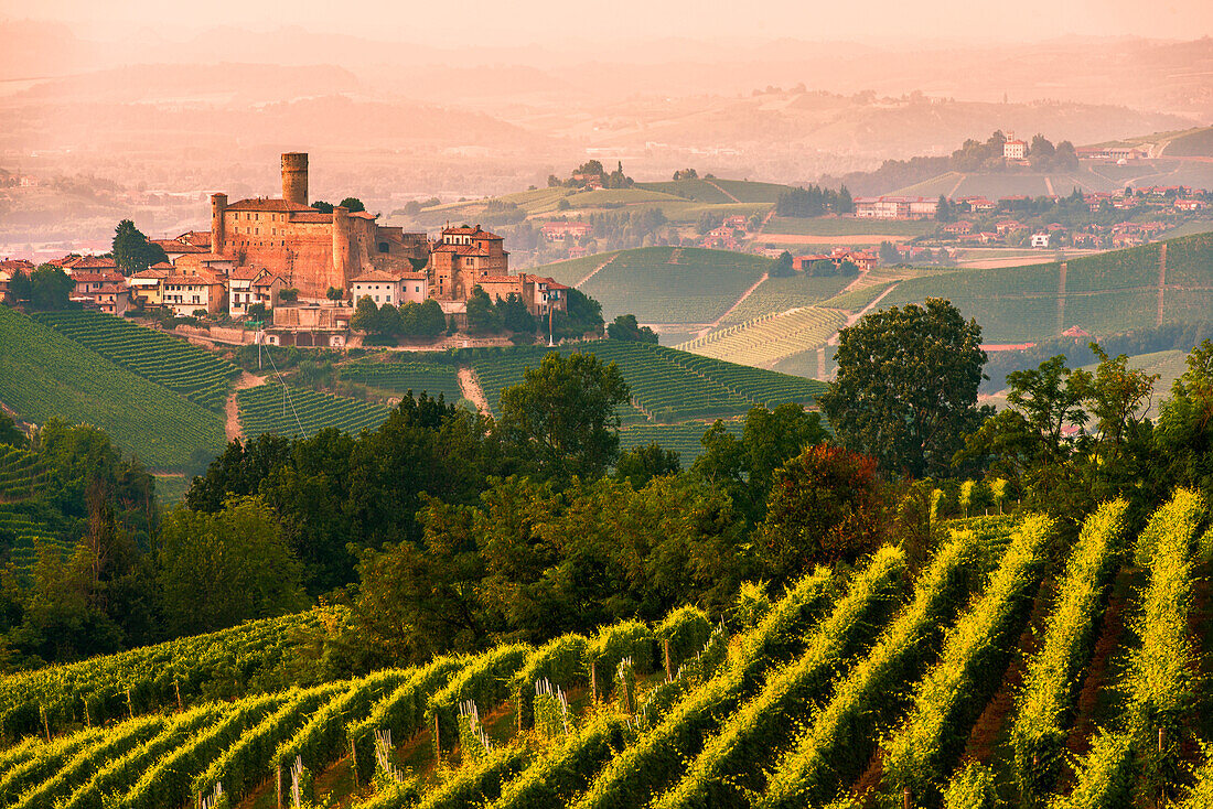 Italy, Piedmont, Cuneo District, Langhe - summer at Castiglione Falletto