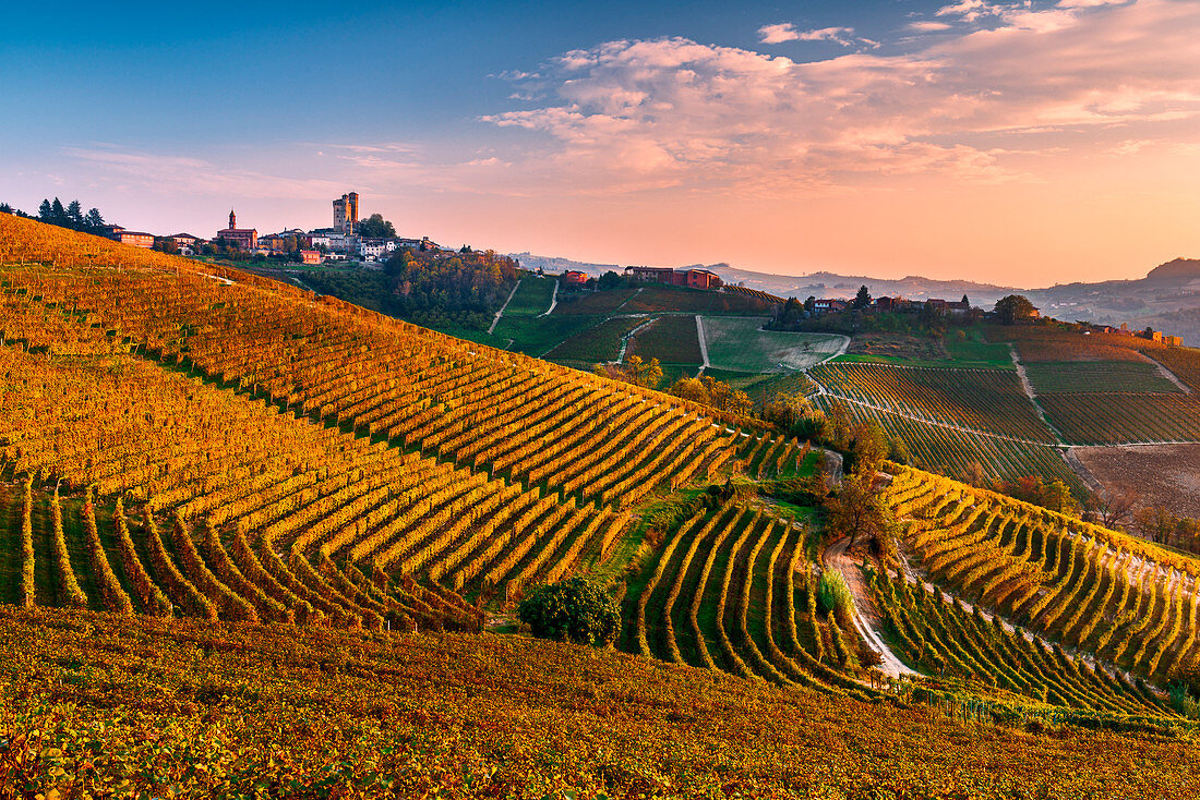 Italy, Piedmont, Cuneo District, Langhe - Autumnal color at Serralunga d'Alba