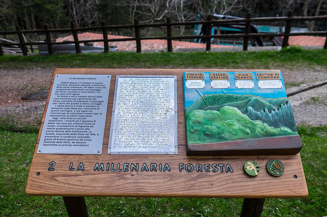 Table showing the history of Casentinesi forests, Campigna, Emilia-Romagna district, Italy