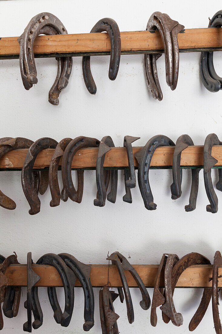 Horseshoes hung on the wall in the stables of the State Forestry Corp center of Selection Equestrian, Salet, Belluno Dolomites National Park, Monti del Sole