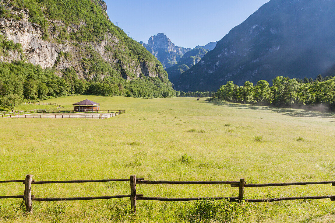 Salet, Center of Equestrian Selection, Sedico, Veneto. The pastures of the forestry center, in the background Mount Coro