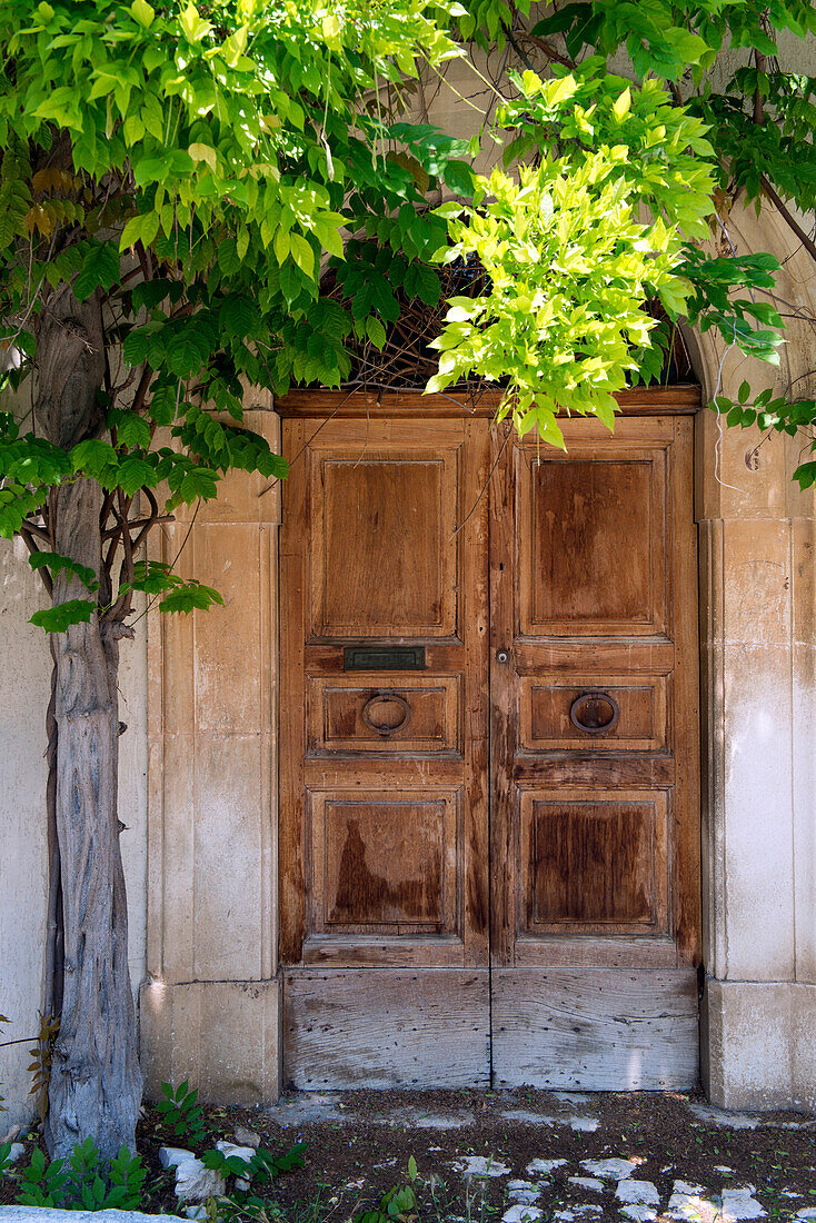 Wooden entrnace door at a house in the village of Fonteccio