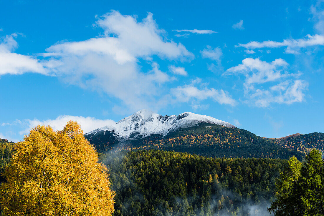 Eine Herbstlandschaft mit gelb gefärbten Bäumen im Kontrast zum blauen Himmel und dem Schwarzhorn mit  Neuschnee, Radein, Südtirol, Alto Adige, Italien