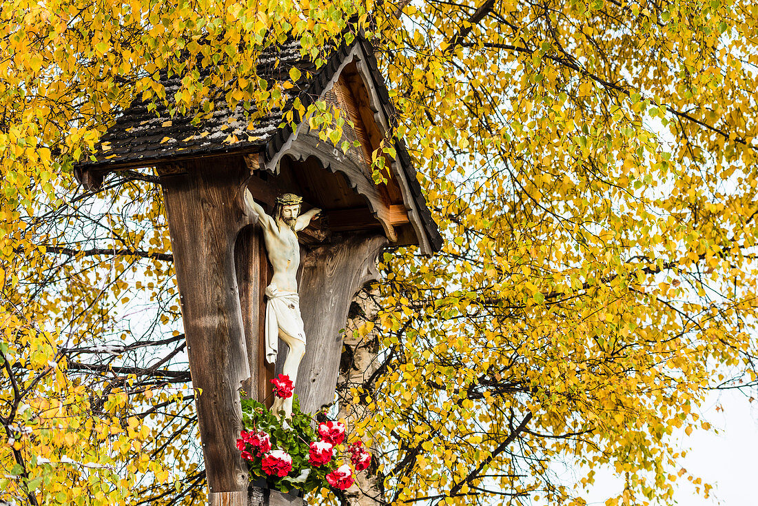A carved old roadside cross, framed by a birch and geraniums in autumn after the fresh snow, Radein, South Tirol, Alto Adige, Italy