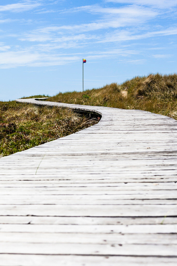 A wooden boardwalk in the extensive dunes with a flagpole at the end, Amrum, Schleswig Holstein, Germany