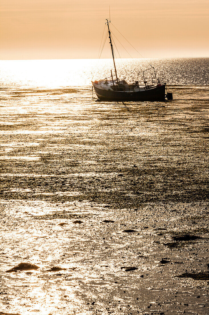 A boat in the watt at low tide during sunrise, Hallig Hooge, Schleswig Holstein, Germany