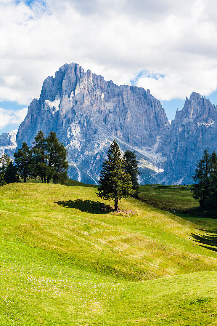 Die Bergkulisse auf der größten Hochalm Europas, Seiser Alm, Compatsch, Südtirol, Italien
