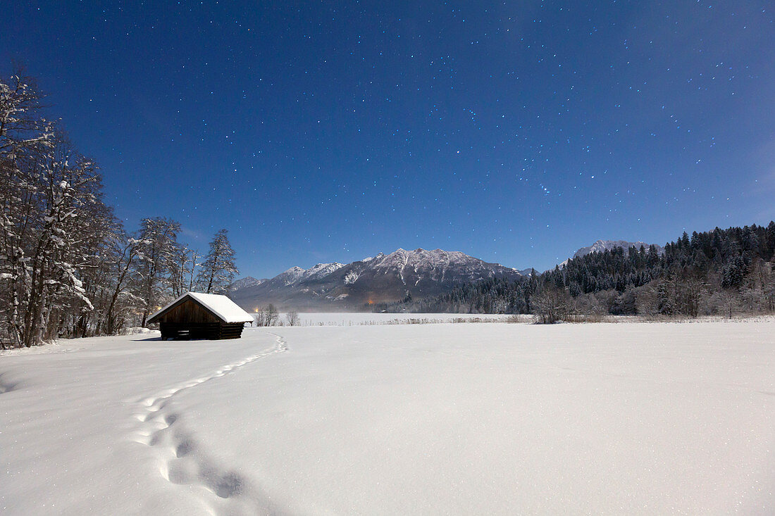 Starry sky over winter landscape at Barmsee, view to Soiern range, Bavaria, Germany