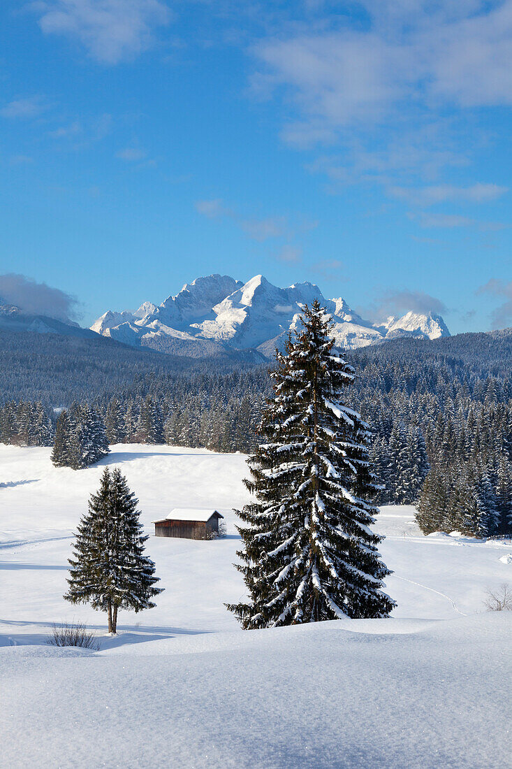 View from the Buckelwiesen near Kruen to Zugspitz range with Alpspitze, Zugspitze and Waxenstein, Bavaria, Germany
