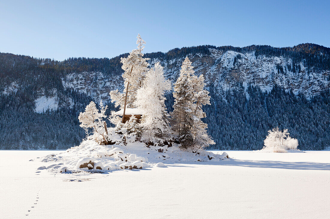 Baumbestandene Insel im zugefrorenen Eibsee, bei Grainau, Bayern, Deutschland