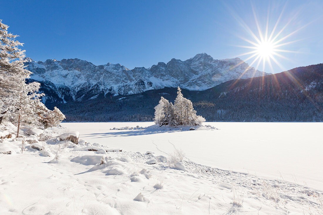 Little island with trees at the frozen Eibsee, view to the Zugspitze, near Grainau, Bavaria, Germany