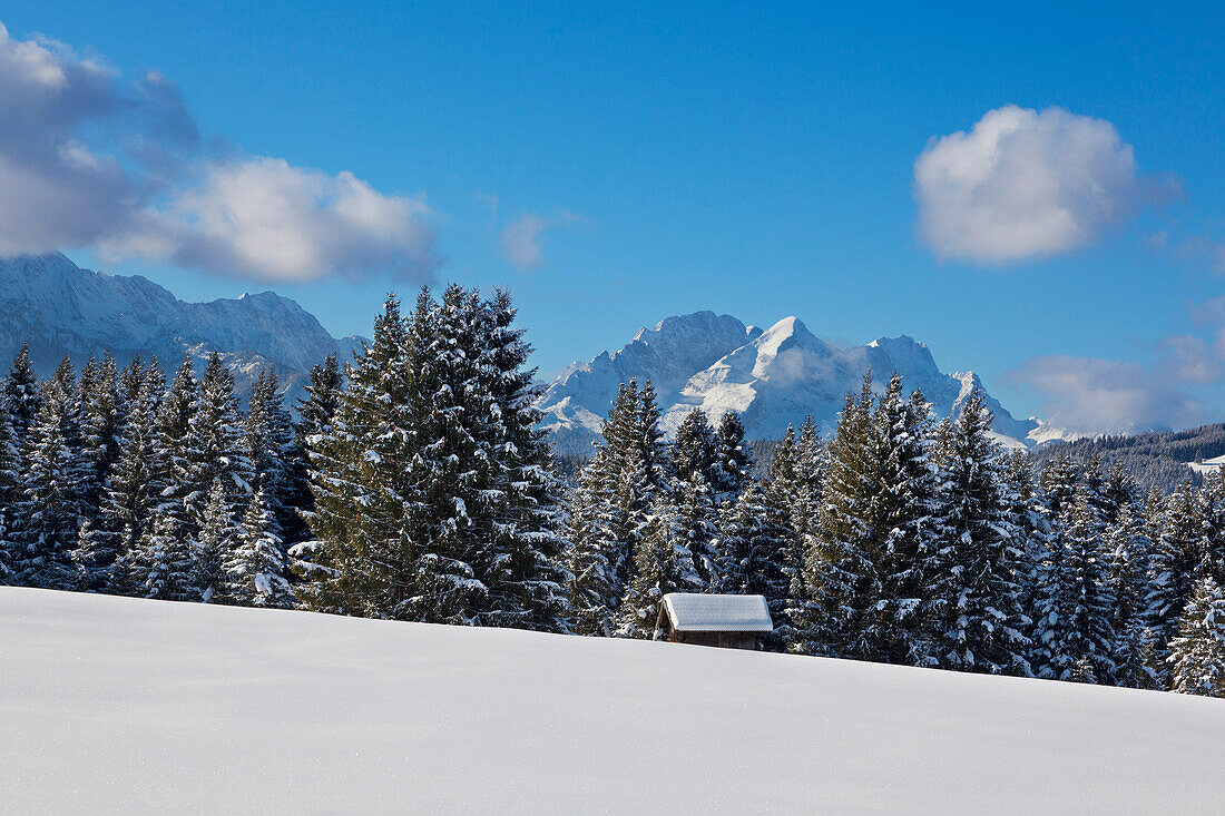 Blick von den Buckelwiesen bei Krün auf das Wettersteingebirge und das Zugspitzmassiv mit Alpspitze und Zugspitze, Bayern, Deutschland