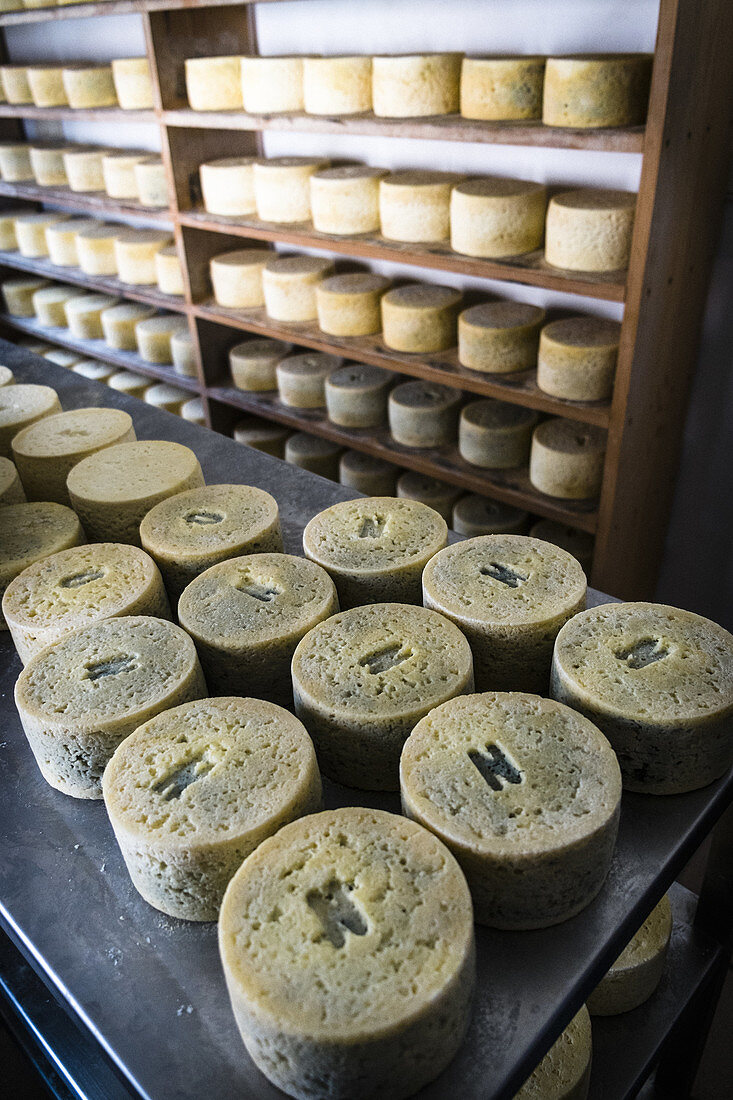 Quesería ´Rogelio Lopez Campo´, Cabrales cheese maker, at Sotres, Asturias, Spain.