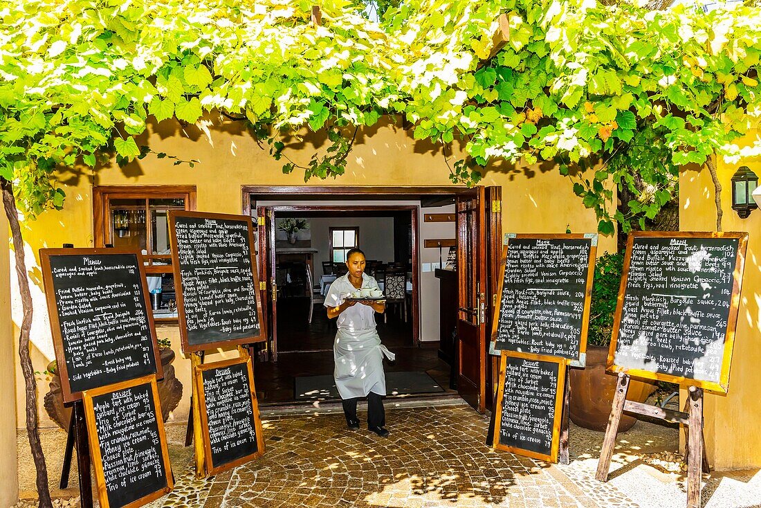 Terroir Restaurant, Kleine Zalze Wines, Stellenbosch, Cape Winelands, South Africa.