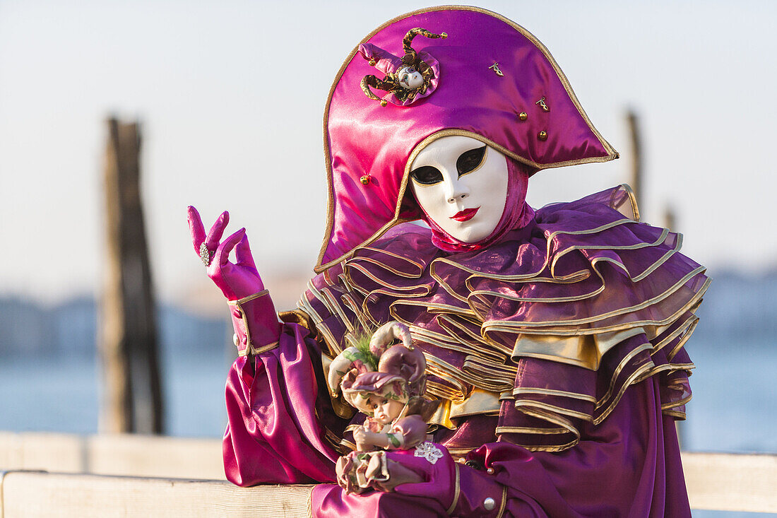 A masked person at the carnival in Venice, Italy, Europe