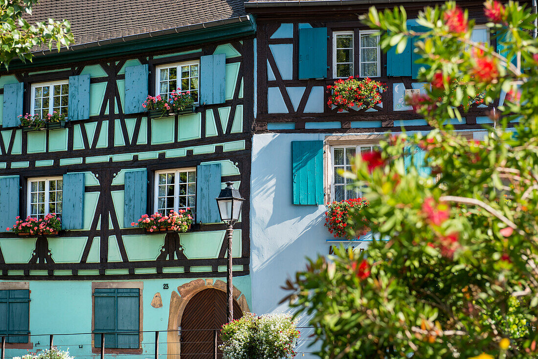 colourful timbered houses, Little Venice, La Petite Venise, Colmar, Alsace, France