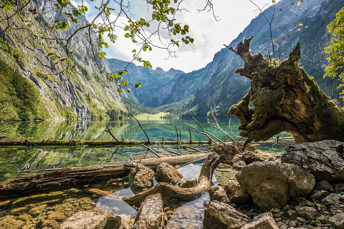 Obersee, Königssee, Berchtesgaden National Park, Berchtesgadener Land district, Upper Bavaria, Bavaria, Germany