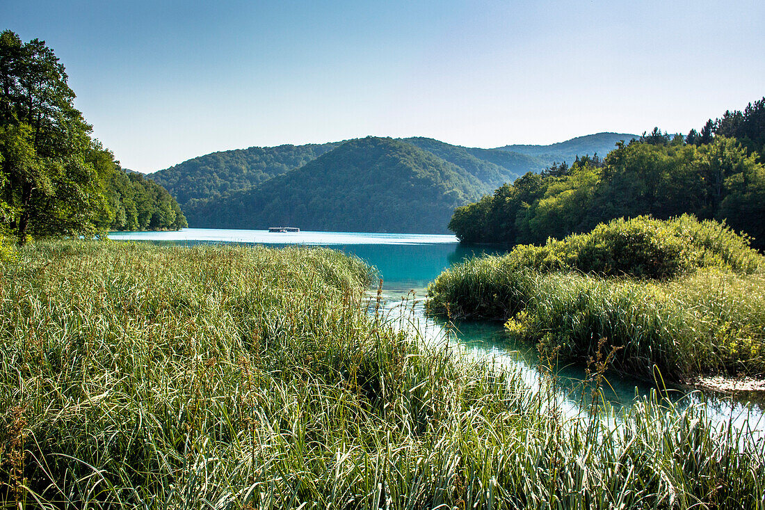 Blick vom Ufer der Plitvicer Seen, im Plitvicer Nationalpark - Kroatien, Plitvice